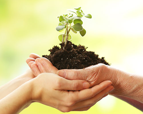 Bridge Community Health Clinic services